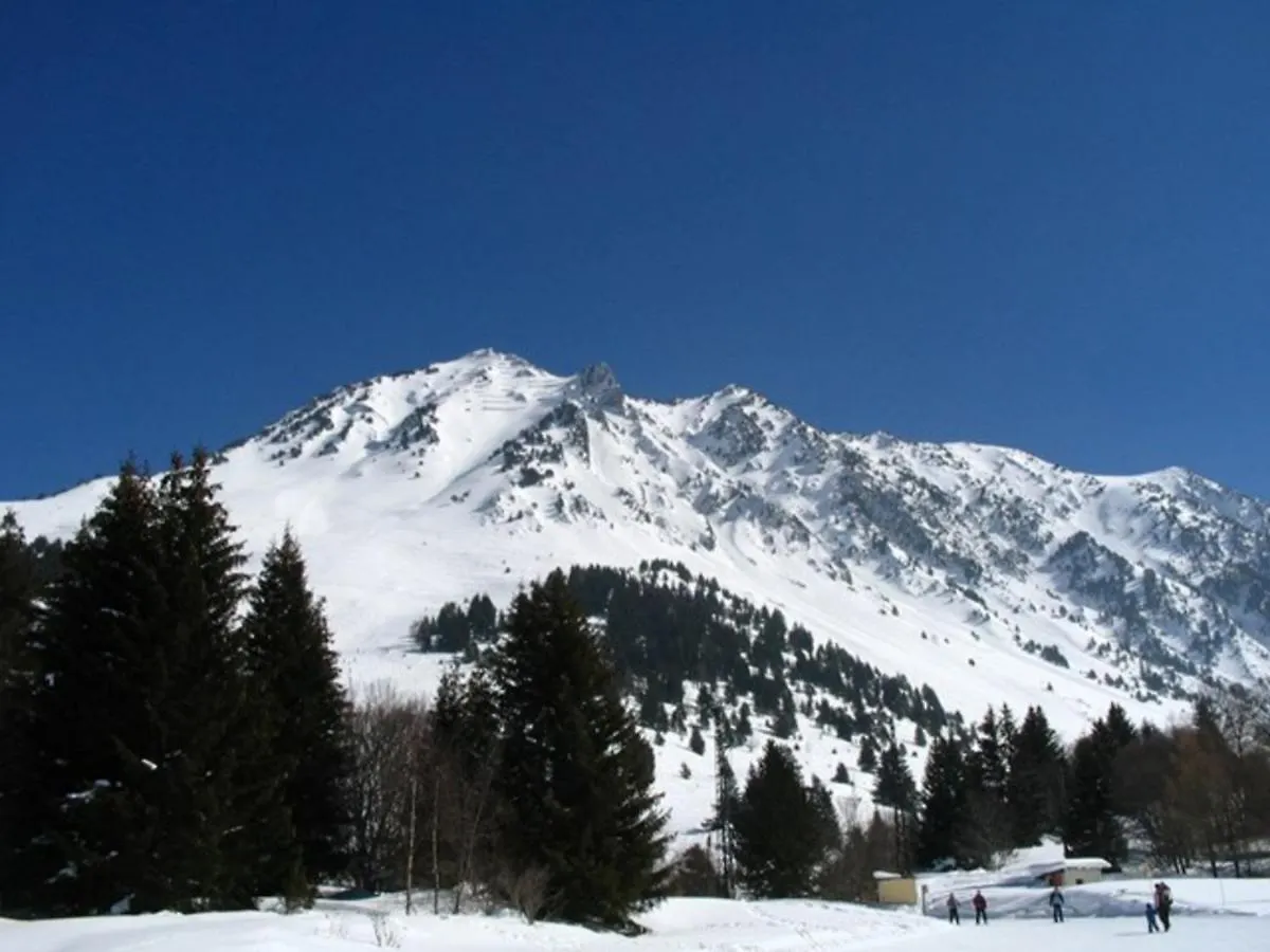 Apartment Studio Cabine Cosy 5 Pers, Pres Des Pistes, Parking Inclus - Fr-1-404-16 La Mongie France